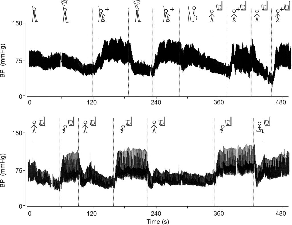 teaching counterpressure manoeuvres biofeedback